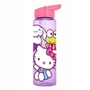 Kids Euroswan Gertuvė su šiaudeliu Hello Kitty 600 ml