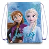 Kids Euroswan "Disney Frozen" sportinis krepšys, 40 cm