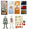 KIKKERLAND ANATOMY STAMPŲ RINKINYS 21 vnt