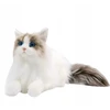 KING Realistiškas pliušinis katės žaislas KITTEN Ragdoll LIKE REAL
