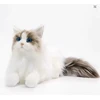 KING Realistiškas pliušinis katės žaislas KITTEN Ragdoll LIKE REAL