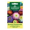 Kininių ratilų BOUQUET POWDERPUFFS sėklos, 0,4 g
