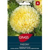 Kininių ratilų sėklos PAEONY, 0,5 g