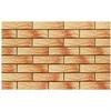 CERRAD Klinkerio plytelės ATAKAMA RUSTIK 9751, 24,5 x 6,5 cm