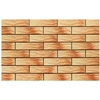 CERRAD Klinkerio plytelės ATAKAMA RUSTIK 9751, 24,5 x 6,5 cm