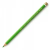 Koh-i-noor Polycolor 3800/23 pieštukas "spring Žalias"