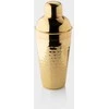 Tayloreye Kokteilių plaktuvas Taylor Eye TEV61025HG, aukso spalvos, 500 ml