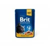 Brit Premium su vištiena ir kalakutiena 100 g
