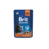 Brit Premium lašiša for Sterilised 100 g