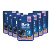 Brit Premium su balta žuvimi Kitten 100 g