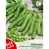 Konservuotas ėdalas katėms WHISKAS Adult, su lašiša, 85 g