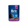 Brit Premium vištiena Slices Sterilised 100 g