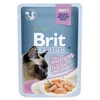 ĖDALAS KATĖMS BRIT STERILISED GRAVY 85G