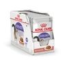 Royal Canin FHN Cat Sensory Smell Gravy 12x85 g