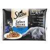 Ėdalas katėms SHEBA, įvairios mėsos rinkinys, maišeliuose, 4 x 85 g