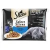 Konservuotas kačių ėdalas SHEBA, su žuvimi, 4 x 85 g