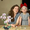 KONSTRUKCINIAI BLAKALAI, DIRBTINĖ ORCHIDĖJŲ AUGALA, RINKINYS SU GĖLĖMIS, 581 VNT.