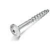 Medsraigtis Rawlplug R-PTK-60160-100; T25; 6x160 mm; 100 vnt.