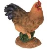 KOOPMAN Sodo dekoras Gaidys 21.5x12x27cm