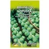 Kopūstai briuselio Groninger 1g 2142