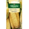 Kukurūzų sėklos Vilmorin 20g