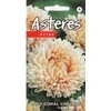 Kurzemes Seklas Astrų sėklos 0.2g Lady Coral Chamois