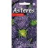 Kurzemes Seklas Astrų sėklos 0.2g Mėlyna Ribbon