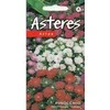 Kurzemes Seklas Astrų sėklos 0.2g Pinocchio