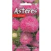 Kurzemes Seklas Astrų sėklos Beautiful Day Rose 0.2g
