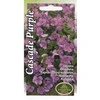 Kurzemes Seklas Aubrečių sėklos 0.1g Cascade Violetinė