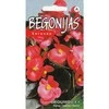 Kurzemes Seklas Begonijų sėklos 15 sėklų Broumov F1