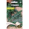 Kurzemes Seklas Gražgarsčių sėklos ant juostos 4m Common