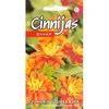Kurzemes Seklas Gvaizdūnių sėklos Fire Double 10 sėklų oranžinės