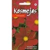 Kurzemes Seklas Kosmėjų sėklos 0.2g Rubenza