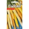 Kurzemes Seklas Morkų sėklos 0.2g Rainbow H