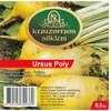 Kurzemes Seklas Pašarinių burokų sėklos 200g Ursus Poly/geltonos