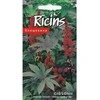 Kurzemes Seklas Ricinmedžių sėklos 5 s Gibsonii