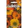 Kurzemes Seklas Rudbekijų sėklos 0.1g Moroccan sun