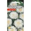 Kurzemes Seklas Rugiagėlių sėklos Tom Pouce 0.4g baltos