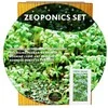 Kurzemes Seklas Sėklų daiginimo komplektas AGROZEM Ø145mm/200 ml sėjamosios pipirnės