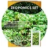 Kurzemes Seklas Sėklų daiginimo komplektas AGROZEM Ø145mm/200 ml gražgarstės