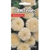 Kurzemes Seklas Serenčių sėklos 0.1g Eskimo