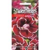 Kurzemes Seklas Šiurpinių gvazdikų sėklos Rose Lace F1 10 sėklų raudoni