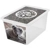 Branq Laikymo dėžė X box deco koala 30L Skaidri