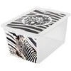 Branq Laikymo dėžė X box Deco Zebra 30L Skaidri