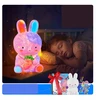 Lamps 3D Rabbit Painting naktinė lempa 12,5 cm rinkinys su dažais