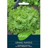 Lapinių salotų sėklos GRAND RAPIDS, 2 g