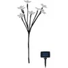 Lauko šviestuvas su saulės baterija IP44 8 LED/H50cm juodas