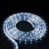 LED Kalėdų eglutės lemputėms, 20 m šaltai balta