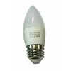 Besk LED lemputė 5W E27 2700K šilta balta